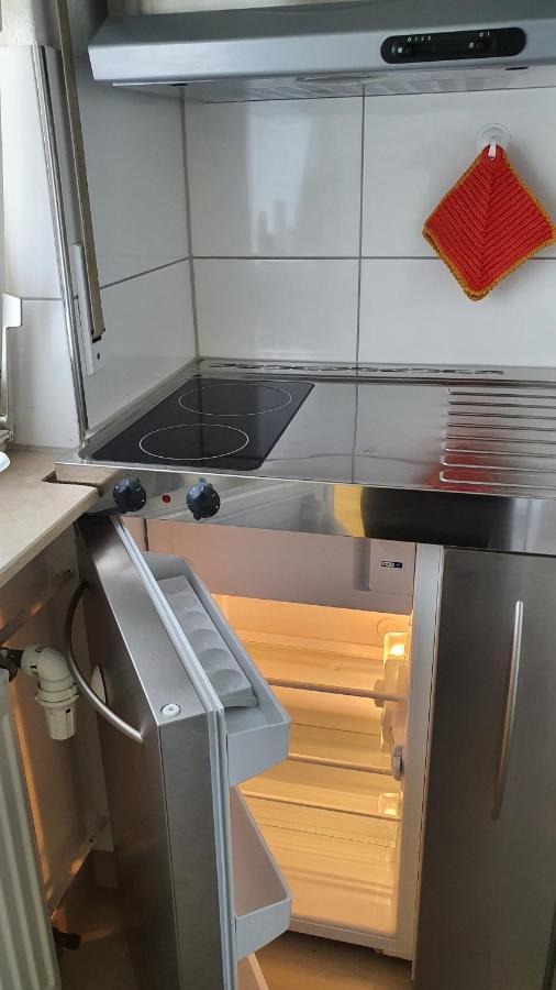 Wohnung Am Neckar 海德堡 外观 照片