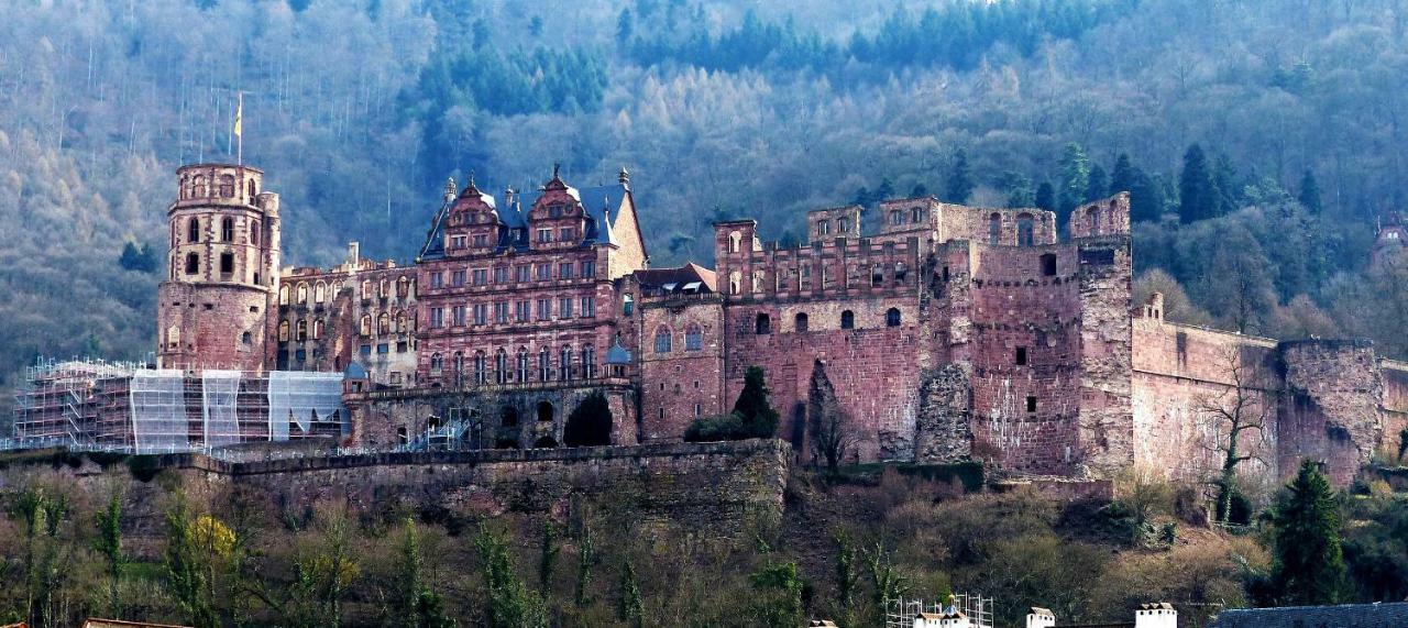 Wohnung Am Neckar 海德堡 外观 照片